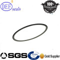 High Quality Rotary Seal for Rod /Shaft